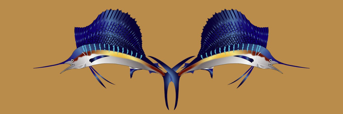 What’s the Difference: Sailfish vs. Swordfish vs. Marlin