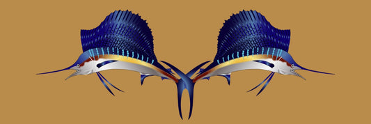 What’s the Difference: Sailfish vs. Swordfish vs. Marlin